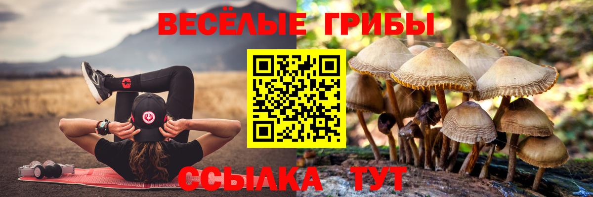Рыбинск  Галлюциногенные грибы Psilocybe  Вход с VPN 