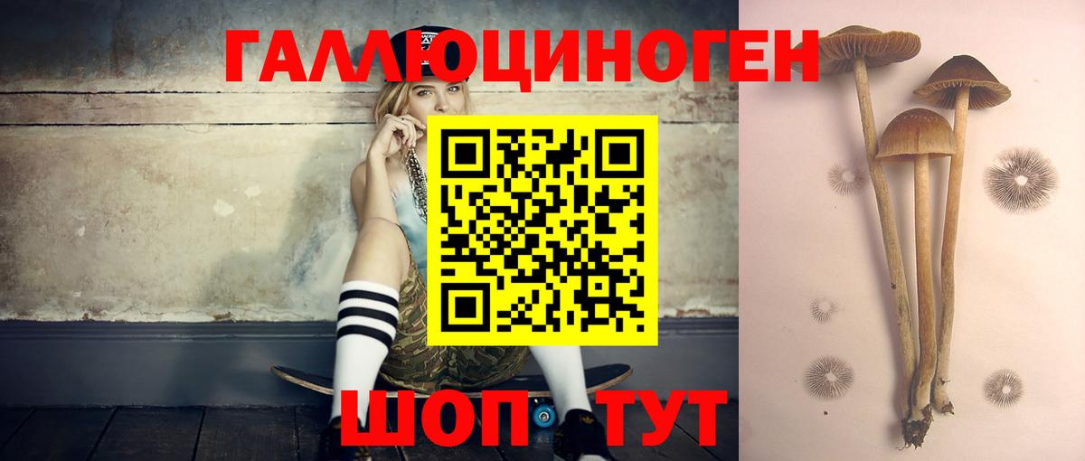 Псилоцибиновые грибы прущие грибы Рыбинск